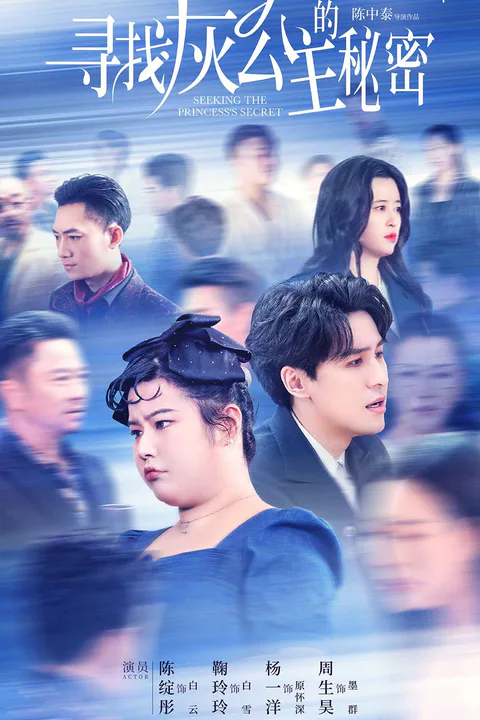 Seeking the Gray Princess's Secret poster