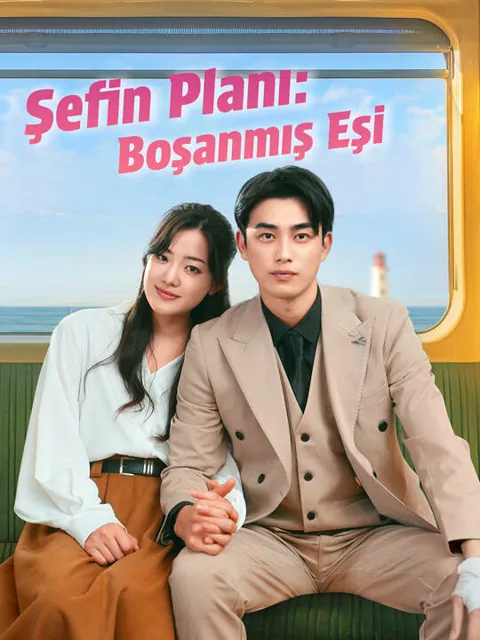 Şefin Planı: Boşanmış Eşi afişi