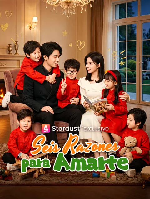 Póster de Seis razones para amarte