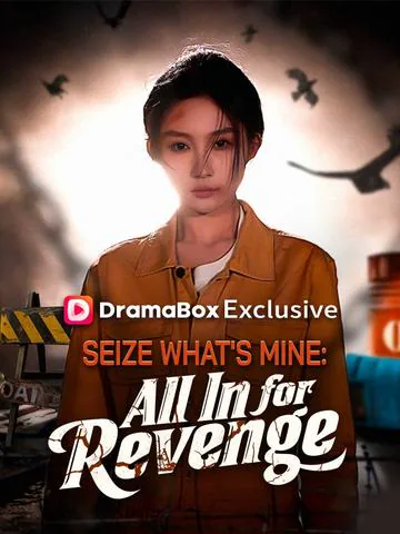 Seize What's Mine: All In for Revenge(DUBBED) poster