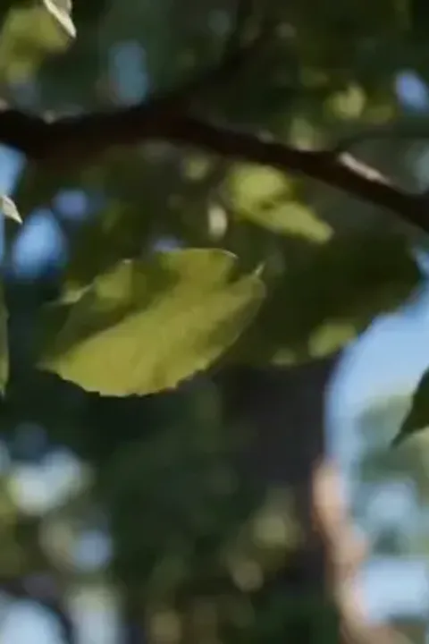 Selir santai tak bisa diganggu poster
