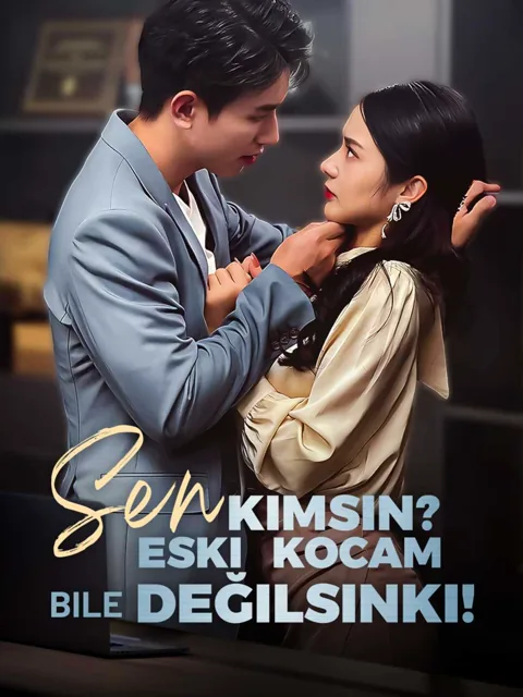 Sen Kimsin? Eski Kocam Bile Değilsinki! afişi