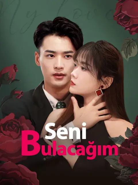 Seni Bulacağım afişi