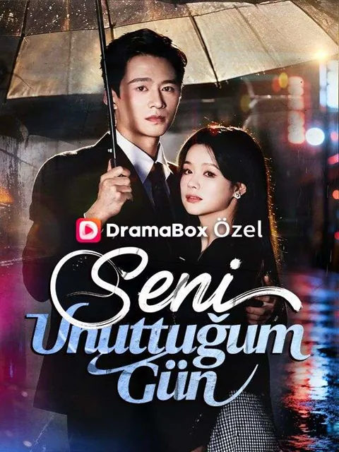 Seni Unuttuğum Gün afişi