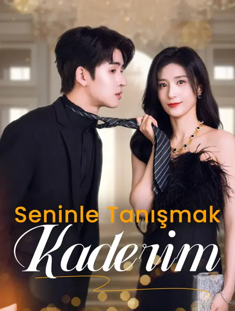 Seninle Tanışmak Kaderim(Dublajlı) afişi