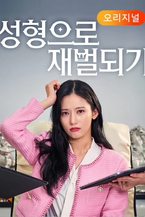 성형으로 재벌되기 포스터