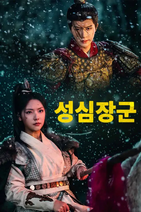성심장군 포스터