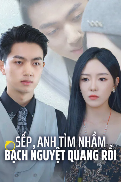 Poster Sếp, Anh Tìm Nhầm Bạch Nguyệt Quang Rồi
