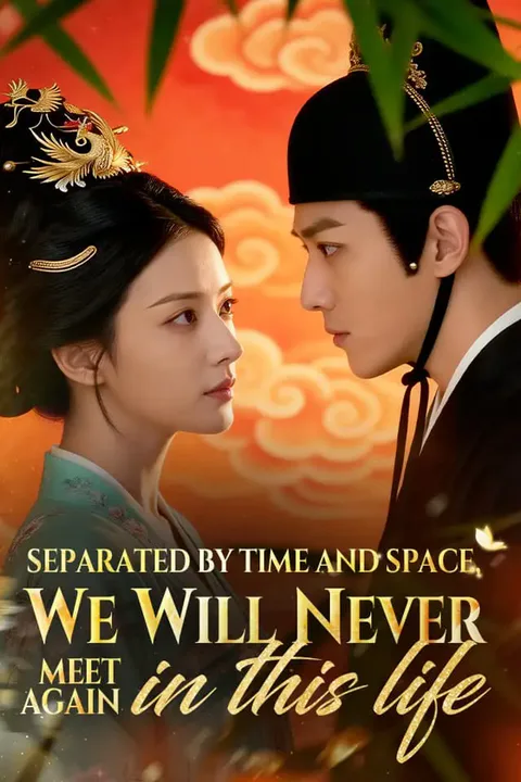 Separated by time and space, we will never meet again in this life poster