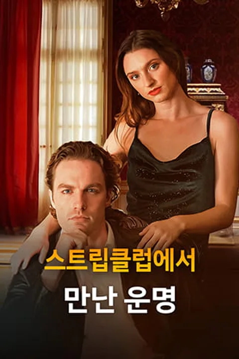 스트립클럽에서 만난 운명 포스터