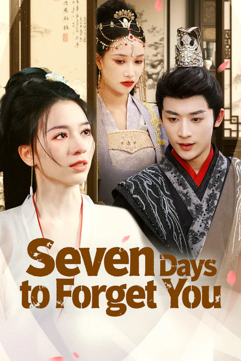 Seven Days to Forget You poster