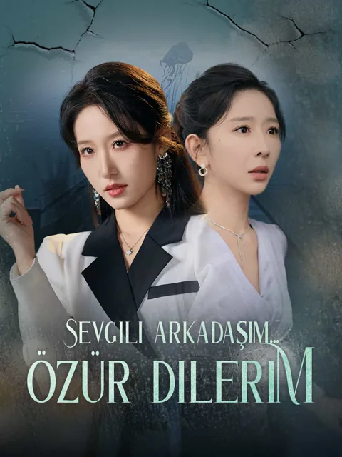 Sevgili arkadaşım... Özür dilerim afişi