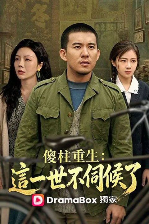 《傻柱重生：這一世不伺候了》海報