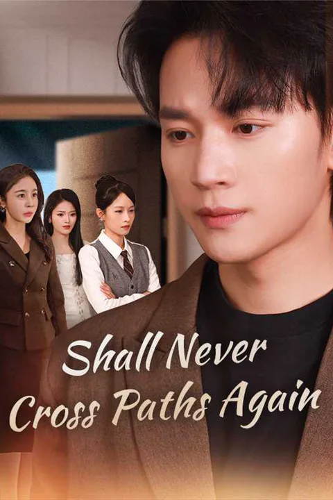 (Dubbed) Shall Never Cross Paths Again poster