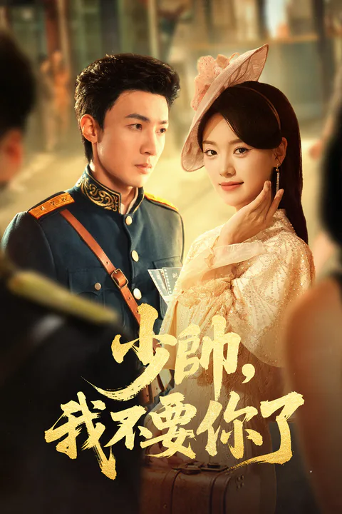 《少帅，我不要你了》海报