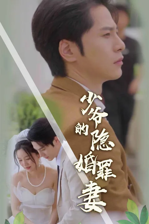 《少爷的隐婚罪妻》海报