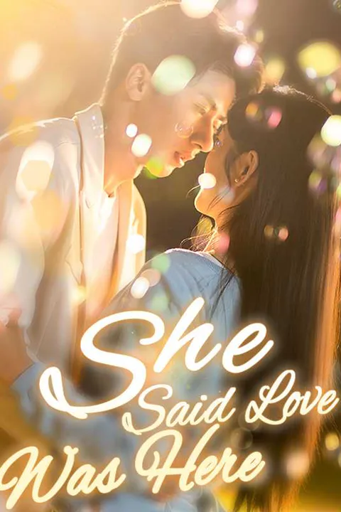 She Said Love Was Here poster