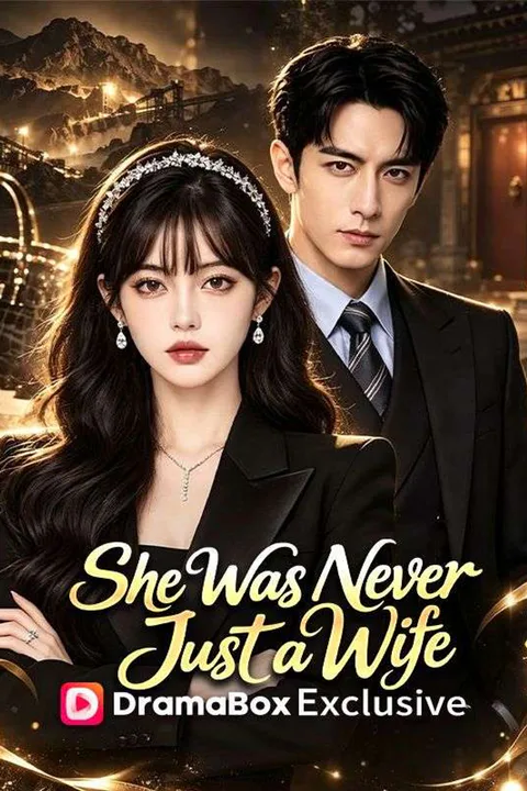 She Was Never Just a Wife poster