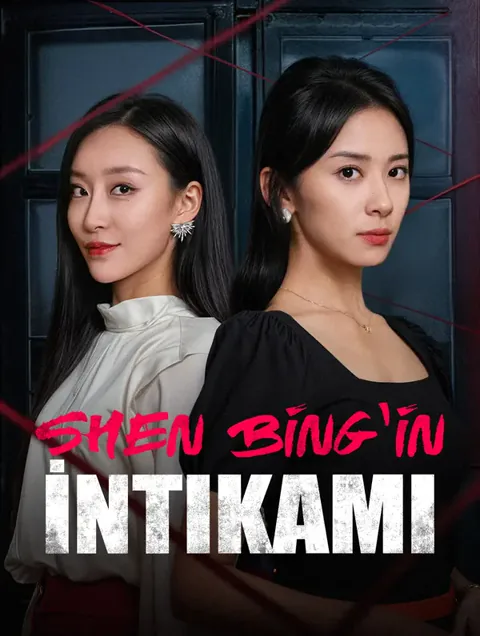 Shen Bing'in İntikamı afişi