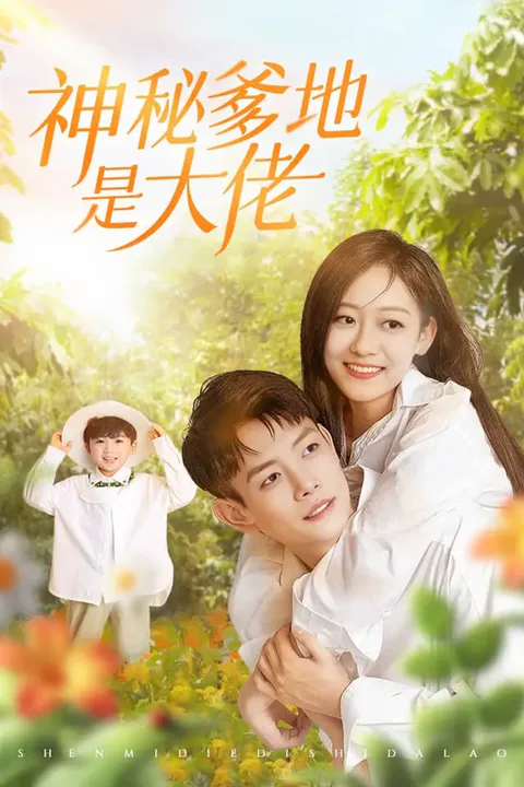 《神秘爹地是大佬》海报