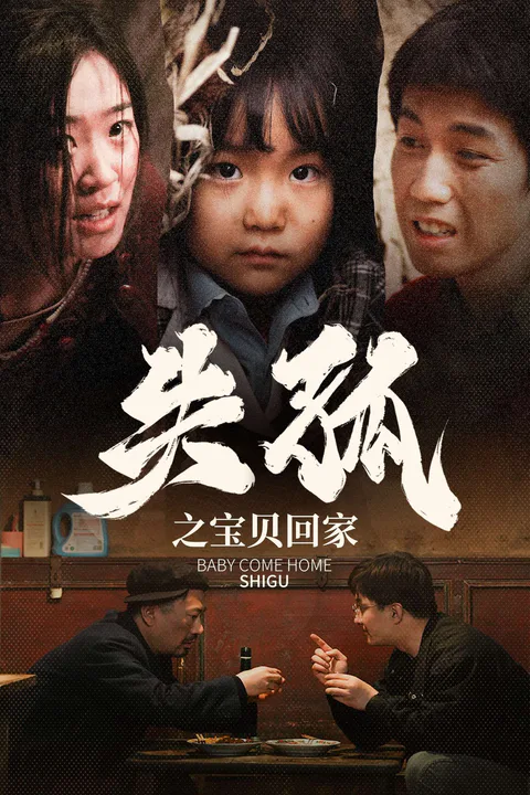 《失孤之宝贝回家》海报
