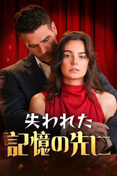 失われた記憶の先にのポスター