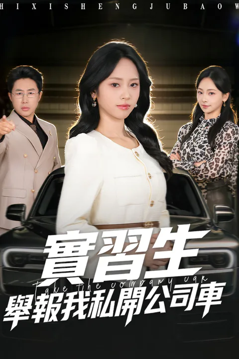 《實習生舉報我私開公司車》海報