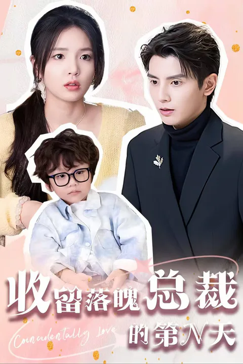 《收留落魄总裁的第N天》海报