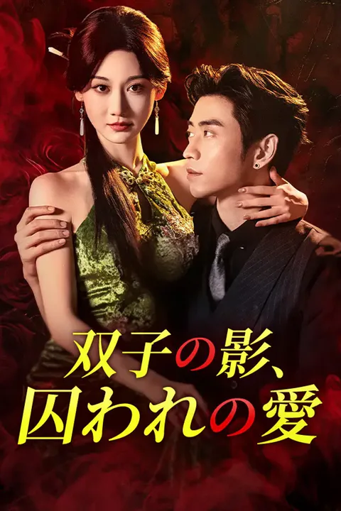 双子の影、囚われの愛のポスター