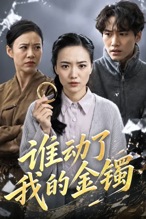 《谁动了我的金镯》海报