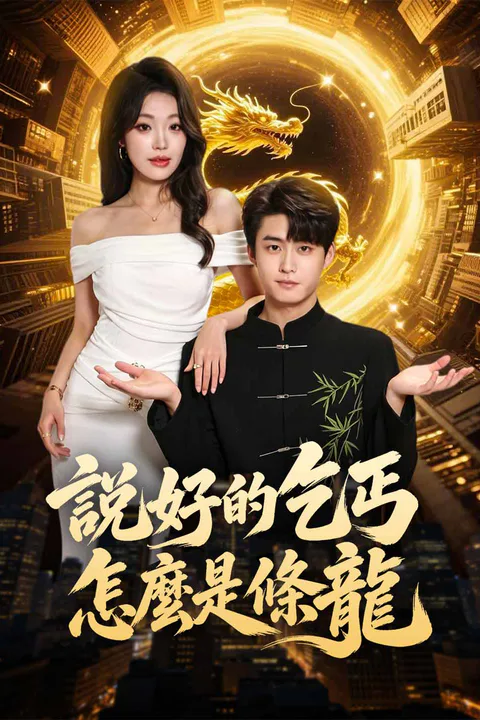 《說好的乞丐怎麼是條龍》海報