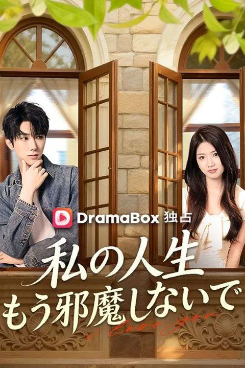 私の人生、もう邪魔しないでのポスター