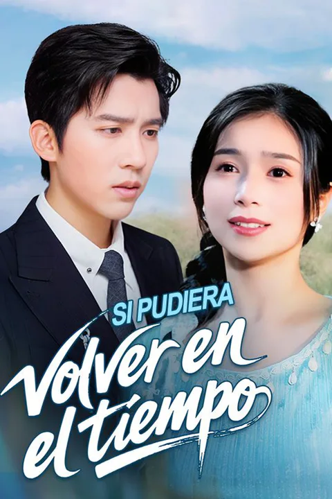 Póster de Si pudiera volver en el tiempo