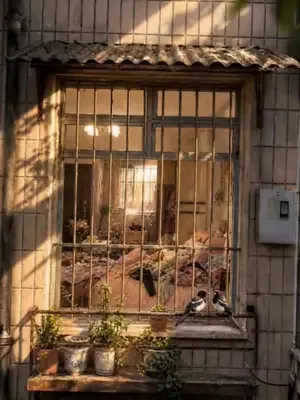 Sihirli valiz savaşçıyı kurtarır afişi