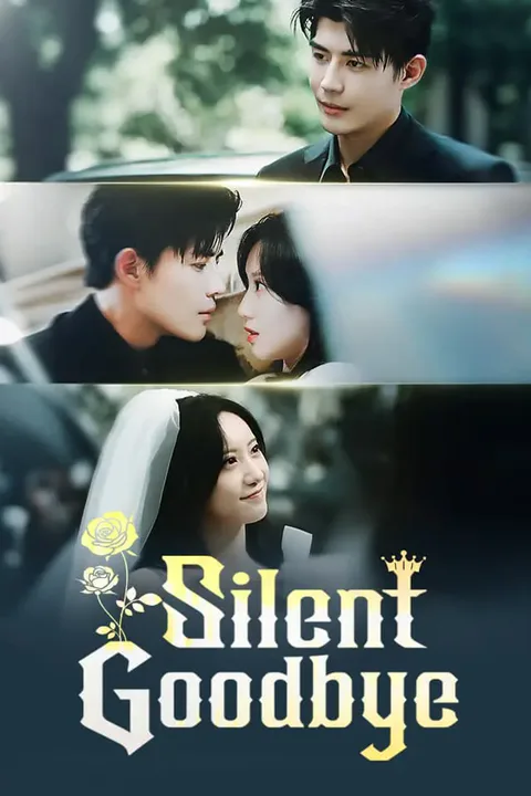 Silent Goodbye poster