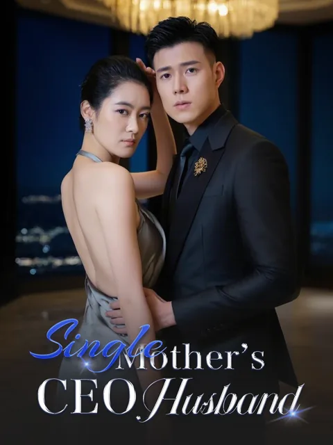 Single Mother’s CEO Husband poster