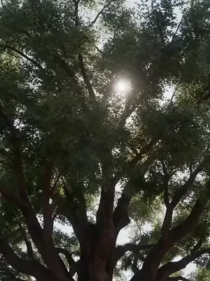 Sınırdaki zaman yolcusu asker afişi