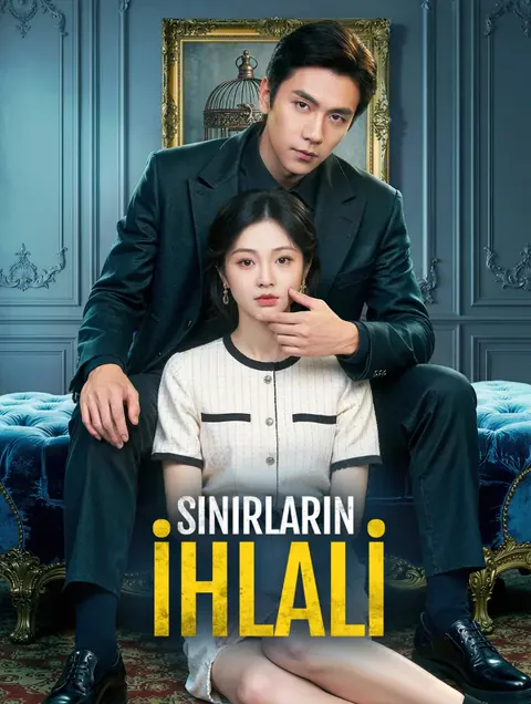 Sınırların İhlali afişi