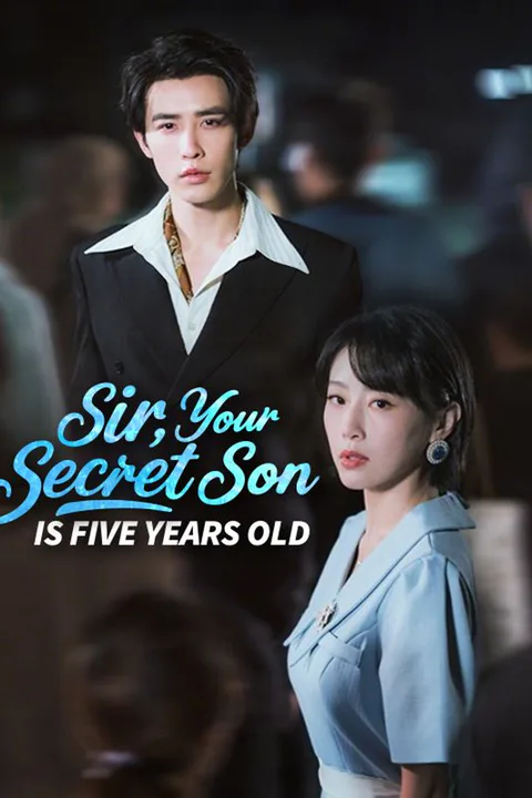 Sir, Your Secret Son Is Five Years Old poster