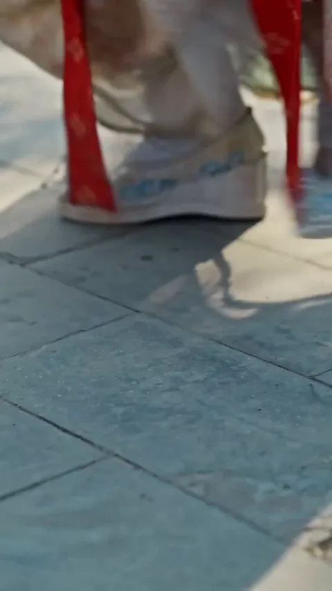 Şişman Prensesin Yükselişi afişi