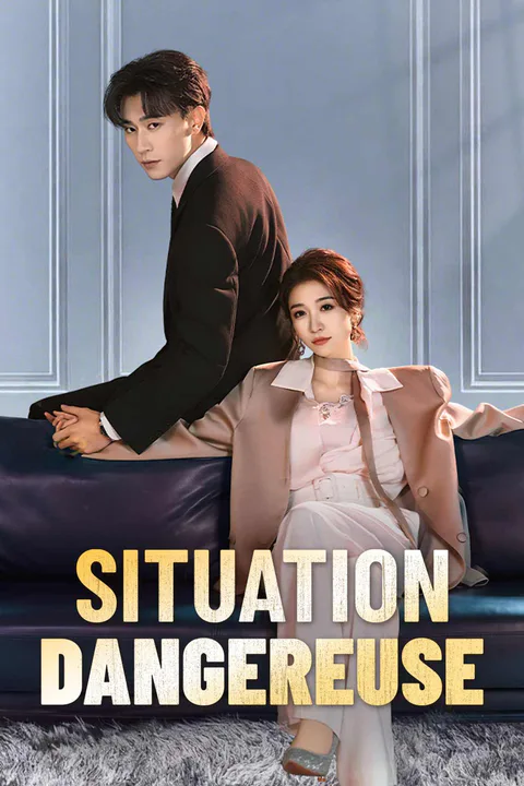 Affiche de Situation Dangereuse