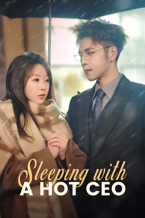 Sleeping with a Hot CEO poster