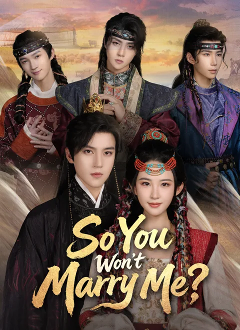 So You Won’t Marry Me? poster