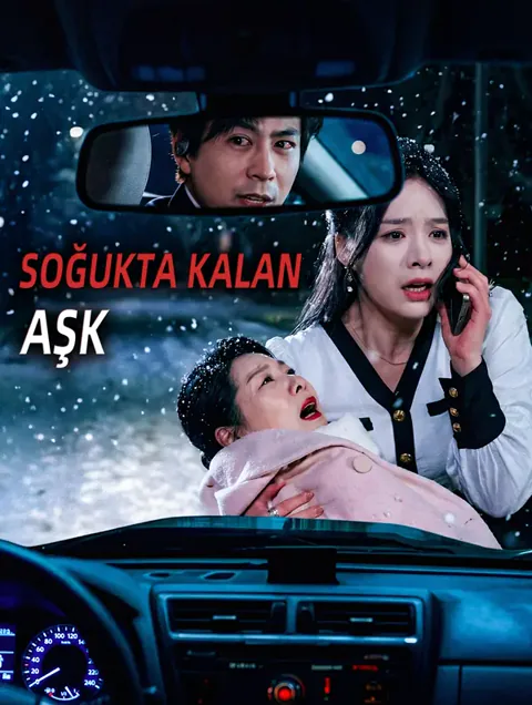 Soğukta Kalan Aşk afişi