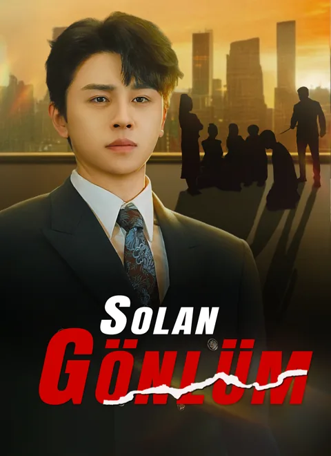 Solan Gönlüm afişi