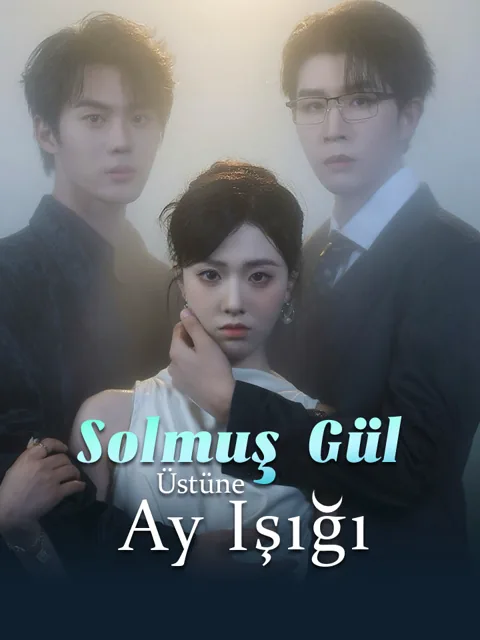 Solmuş Gül Üstüne Ay Işığı afişi