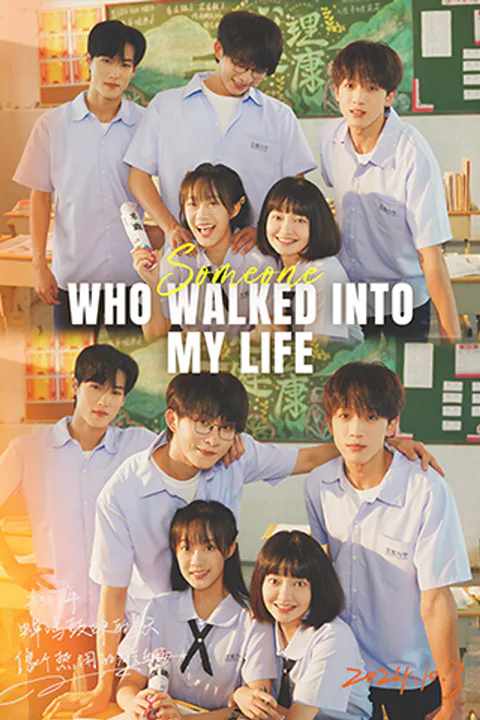 Someone Who Walked into My Life poster