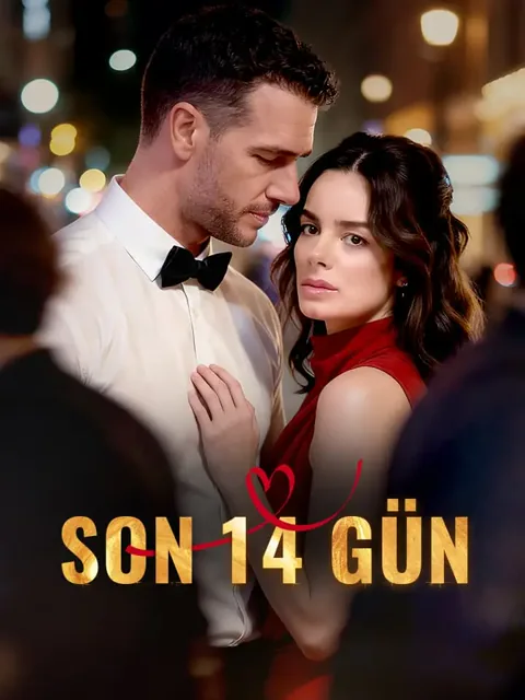 Son 14 Gün afişi