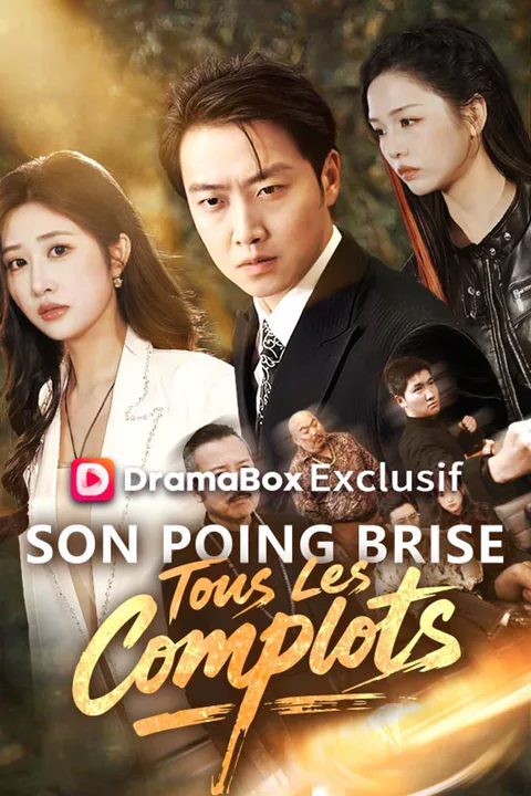 Affiche de Son Poing Brise Tous Les Complots (Doublé)