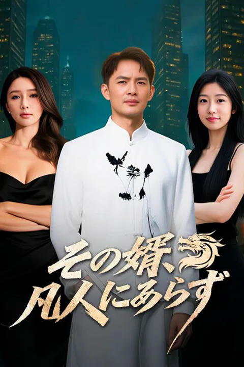 その婿、凡人にあらずのポスター